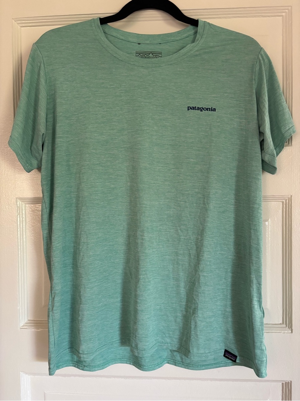 Patagonia blue design capilene cool daily shirt